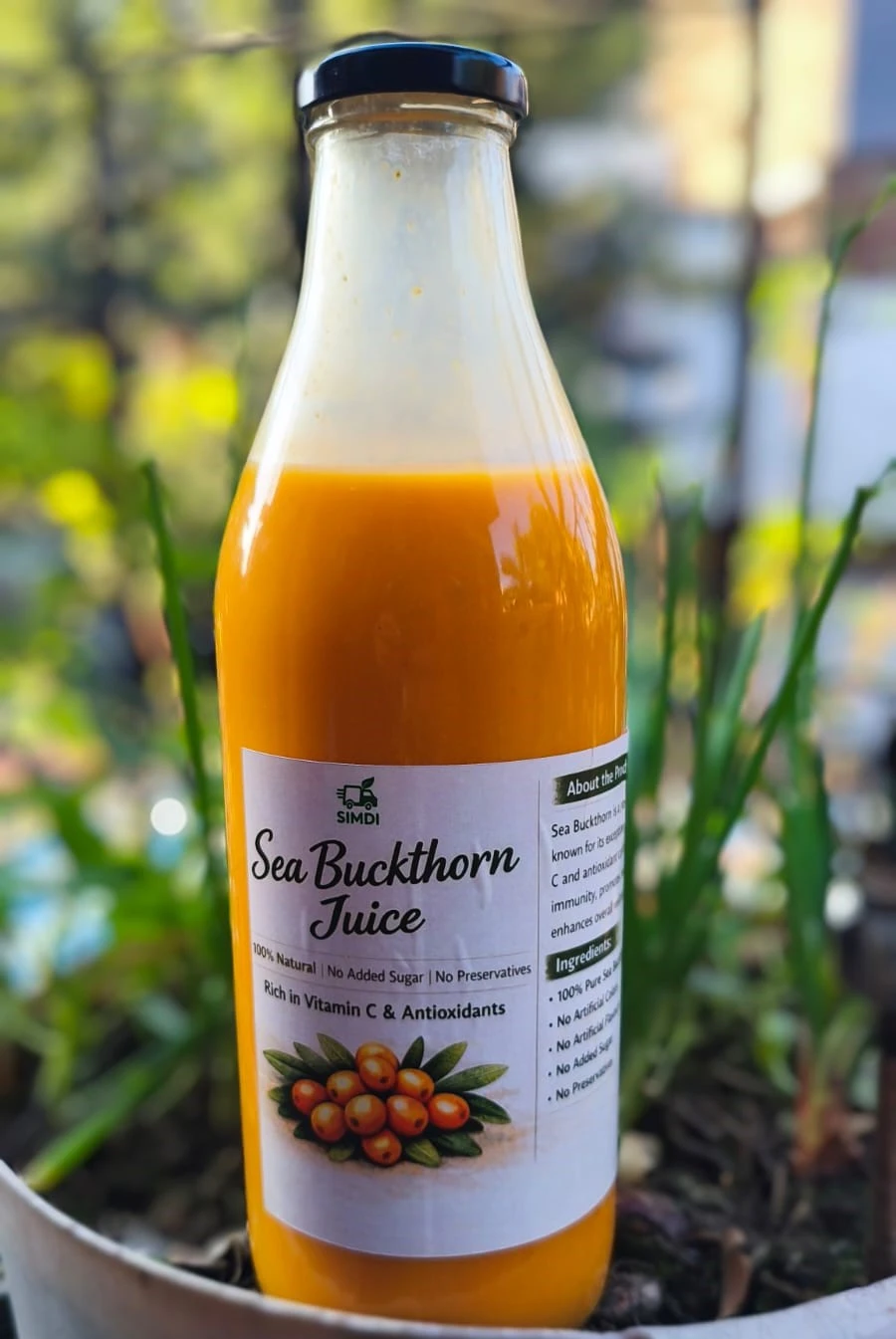 Pahadi Sea Buckthorn Juice (Himalayan Berry Juice) thumbnail 2
